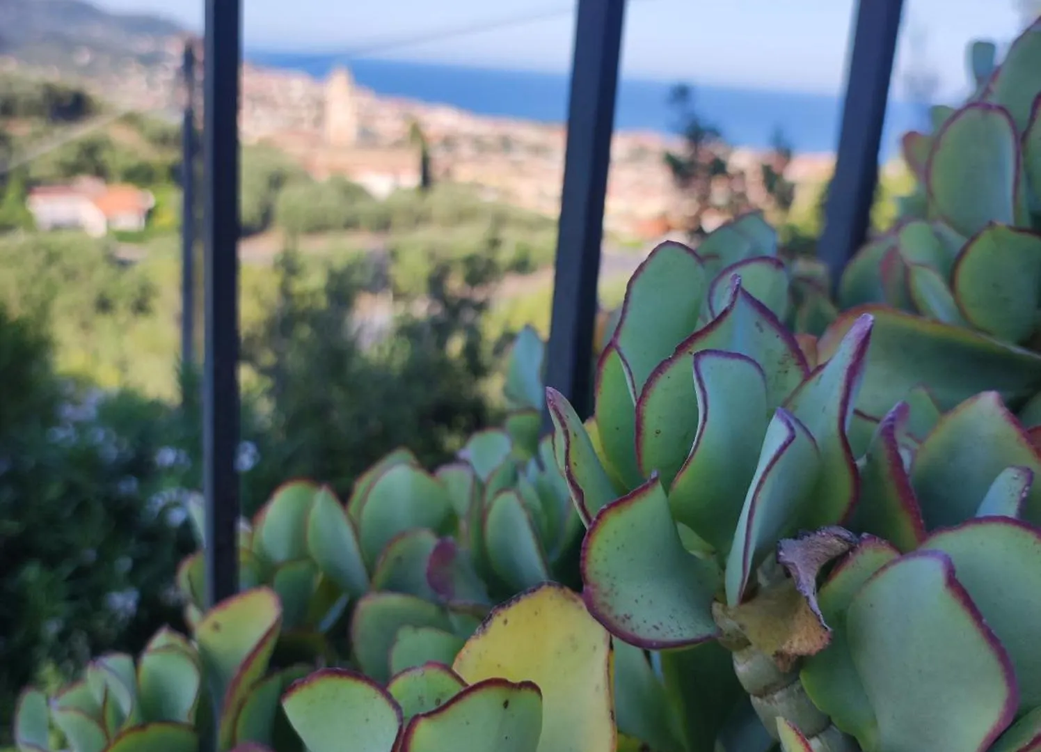 Casa Flora Apartment Diano Marina Italy